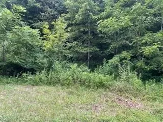 167 Charlie Harrell Lane Hampton Tn 37658, Hampton, TN 37658