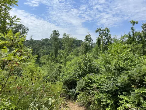 Off Van Hill Road, Greeneville, TN 37745 photo 10