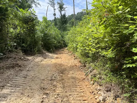 Off Van Hill Road, Greeneville, TN 37745 photo 16