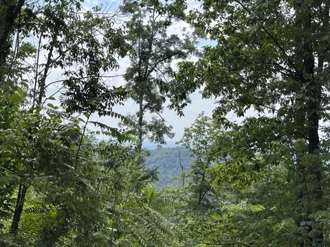 Off Van Hill Road, Greeneville, TN 37745 photo 4