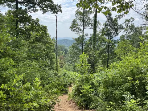 Off Van Hill Road, Greeneville, TN 37745 photo 7