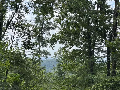 Off Van Hill Road, Greeneville, TN 37745 photo 5