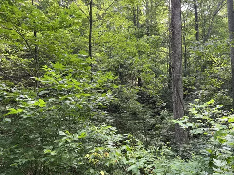 Off Van Hill Road, Greeneville, TN 37745 photo 11