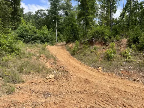 Off Van Hill Road, Greeneville, TN 37745 photo 30