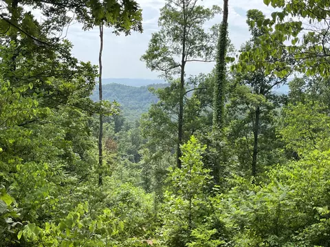 Off Van Hill Road, Greeneville, TN 37745 photo 3