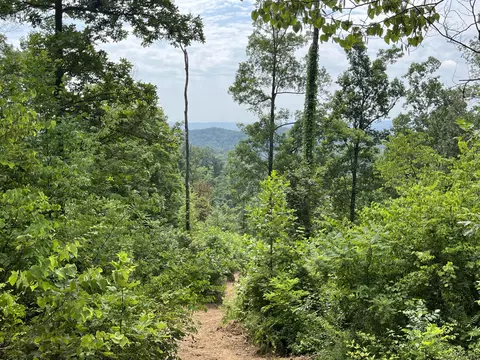 Off Van Hill Road, Greeneville, TN 37745 photo 8