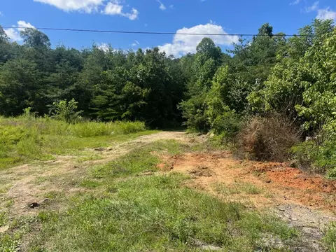 Off Van Hill Road, Greeneville, TN 37745 photo 31
