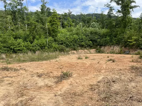 Off Van Hill Road, Greeneville, TN 37745 photo 19