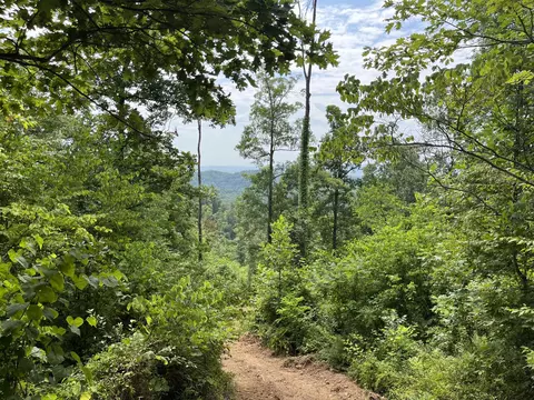 Off Van Hill Road, Greeneville, TN 37745 photo 9