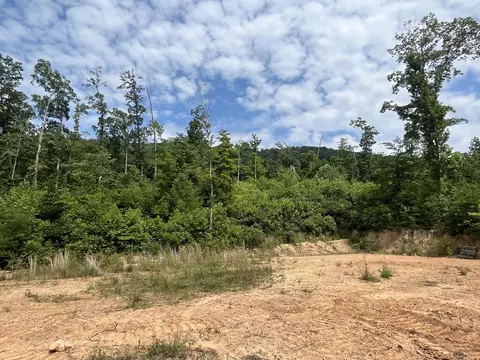 Off Van Hill Road, Greeneville, TN 37745 photo 22