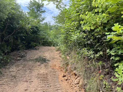 Off Van Hill Road, Greeneville, TN 37745 photo 18
