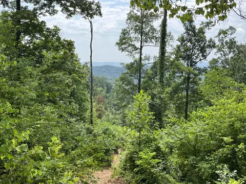 Off Van Hill Road, Greeneville, TN 37745 photo 6
