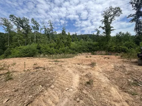 Off Van Hill Road, Greeneville, TN 37745 photo 20