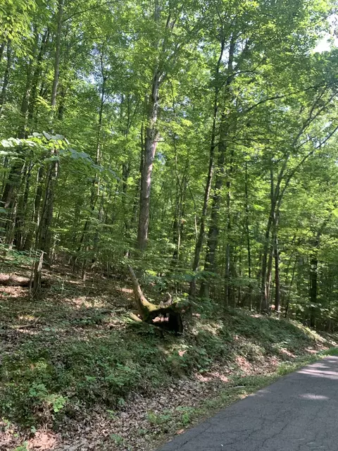 tbd Hillcrest Street Rogersville Tn 37857, Rogersville, TN 37857
