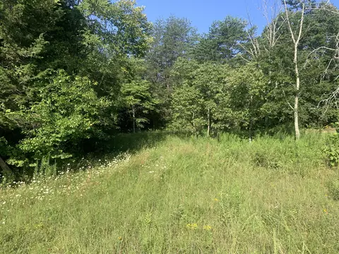 0 Pierce Lane Bulls Gap Tn 37711, Bulls Gap, TN 37711