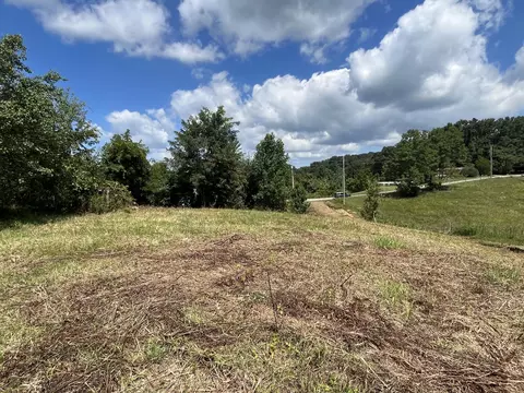 1411 Fairview Road Afton Tn 37616, Afton, TN 37616