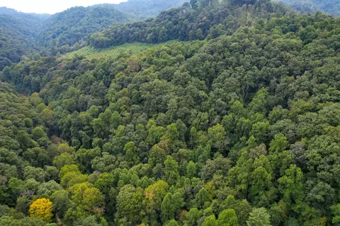 tbd Livingston Creek Bristol Va 24202, Bristol, VA 24202