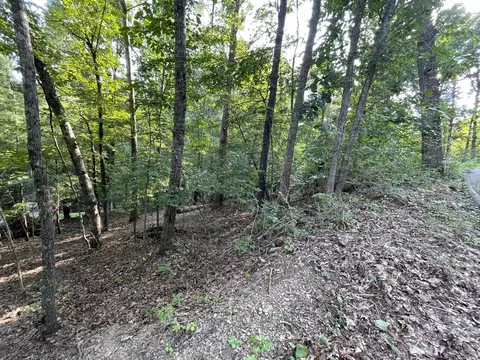 146 Cloudland Drive Bristol Tn 37620, Bristol, TN 37620