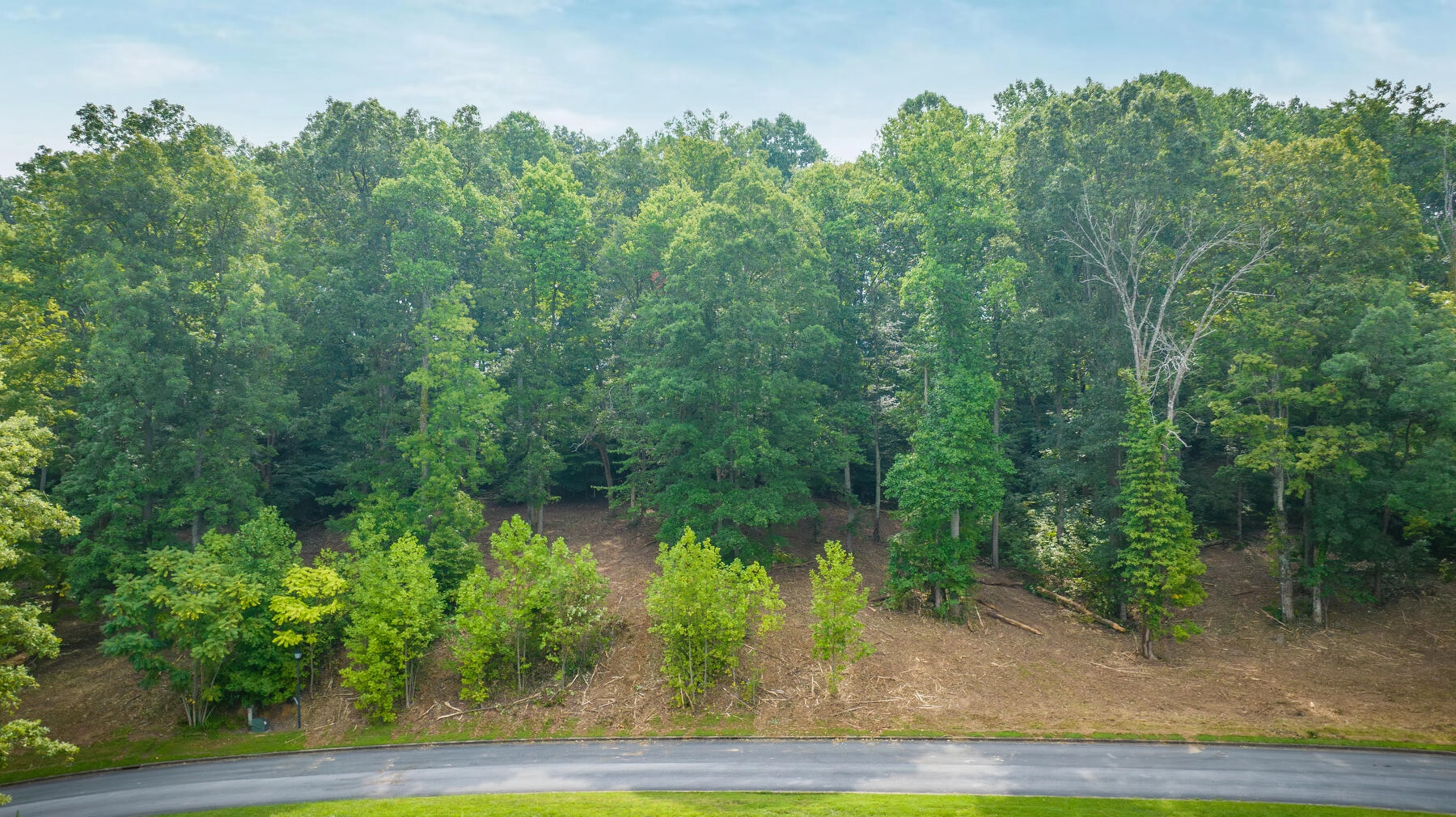 Lot 36 Chimney Top Ln