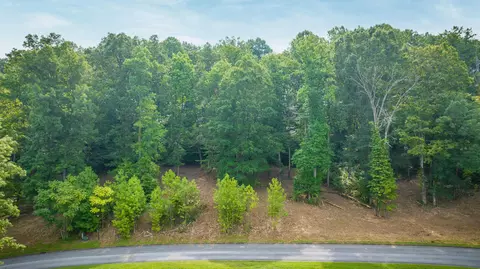 lot36 Chimney Top Lane Chuckey Tn 37641, Chuckey, TN 37641