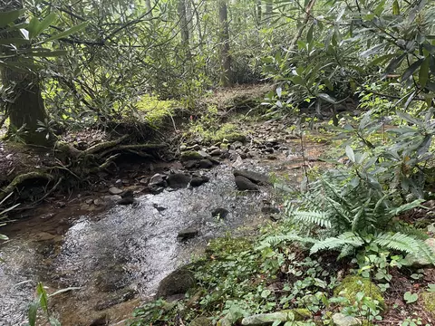 1947 Highway 91 Shady Valley Tn 37688, Shady Valley, TN 37688