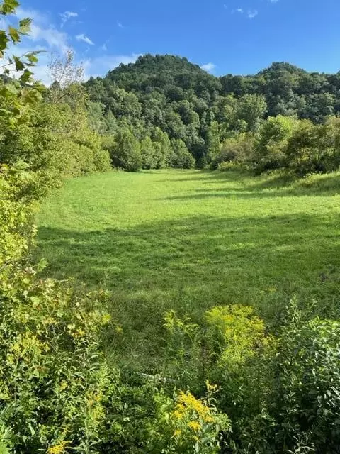 01 Dean Hollow Rd Nickelsville Va 24271, Nickelsville, VA 24271