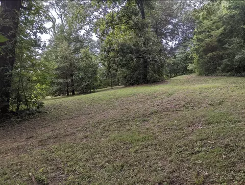 2180 Fish Hatchery Road Mohawk Tn 37810, Mohawk, TN 37810 photo 53