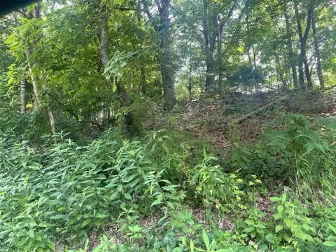 1153 Highway 321 Hampton Tn 37658, Hampton, TN 37658 photo 13