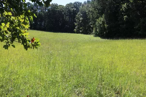 lot S 1617 Meadowview Road Mosheim Tn 37818, Mosheim, TN 37818