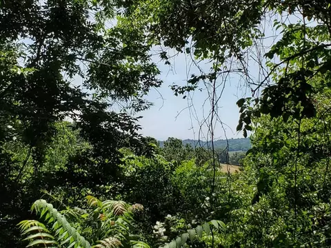 tbd Chappell Road Surgoinsville Tn 37873, Surgoinsville, TN 37873