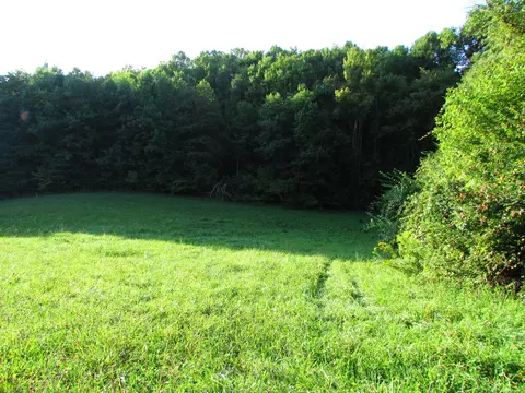 Tract 1 Minton Hollow Road, Elizabethton, TN 37643