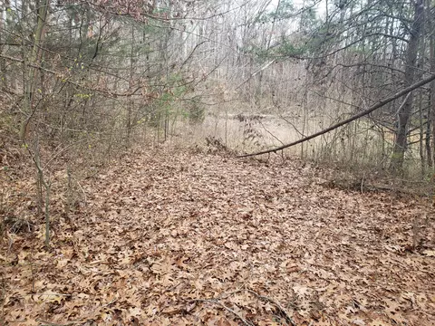 tbd Farside Drive Rogersville Tn 37857, Rogersville, TN 37857