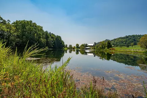 700 Fodderstack Mountain Loop Greeneville Tn 37745, Greeneville, TN 37745 photo 49