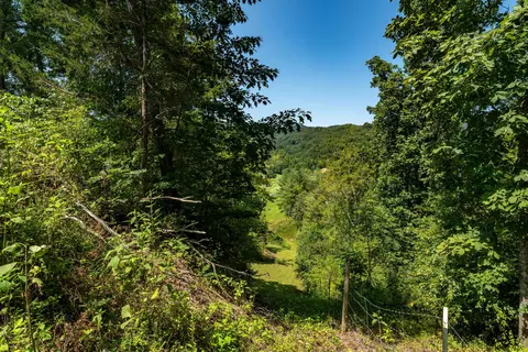 700 Fodderstack Mountain Loop Greeneville Tn 37745, Greeneville, TN 37745 photo 52
