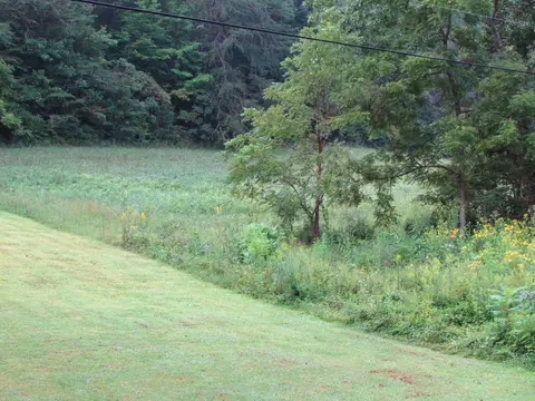 Tract 2 Minton Hollow Road, Elizabethton, TN 37643