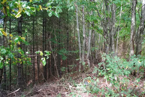 7004 Amherst Road Wise Va 24293, Wise, VA 24293 photo 13