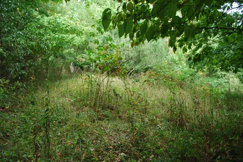 7004 Amherst Road Wise Va 24293, Wise, VA 24293 photo 14
