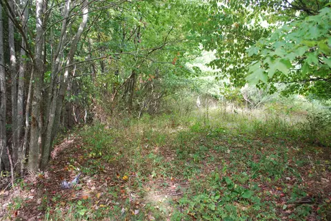 7004 Amherst Road Wise Va 24293, Wise, VA 24293 photo 12