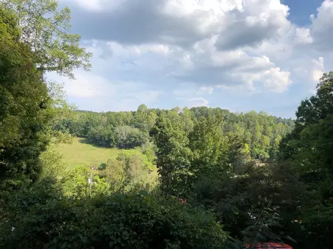 227 Ridge Road Fall Branch Tn 37656, Fall Branch, TN 37656 photo 2