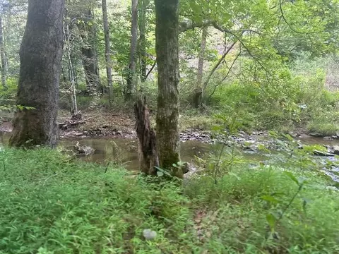 494 Hoods Lane Clinchco Va 24226, Clinchco, VA 24226