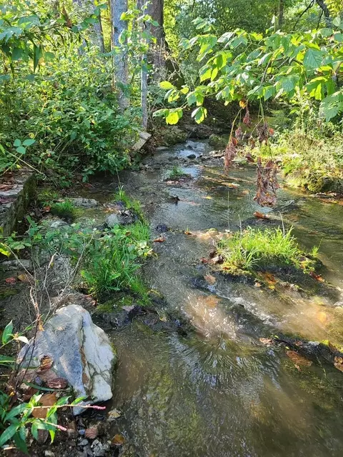 0 Sweet Creek Road Eidson Tn 37731, Eidson, TN 37731