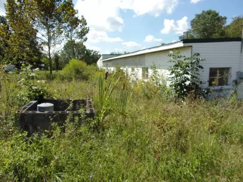 5595 Mcdonald Rd Mohawk Tn 37810, Mohawk, TN 37810 photo 5