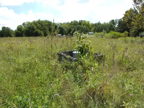 5595 Mcdonald Rd Mohawk Tn 37810, Mohawk, TN 37810 photo 6
