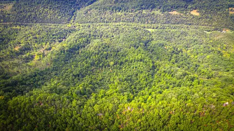 5384 Clinch Mountain Road Eidson Tn 37731, Eidson, TN 37731 photo 57