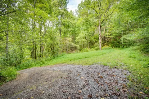 5384 Clinch Mountain Road Eidson Tn 37731, Eidson, TN 37731 photo 41