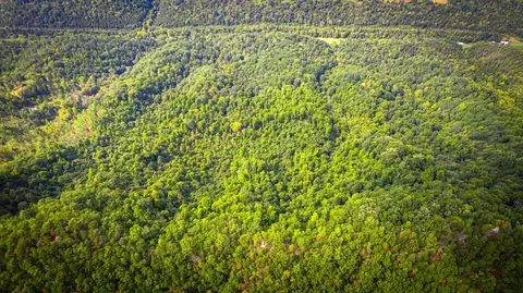 5384 Clinch Mountain Road Eidson Tn 37731, Eidson, TN 37731 photo 53