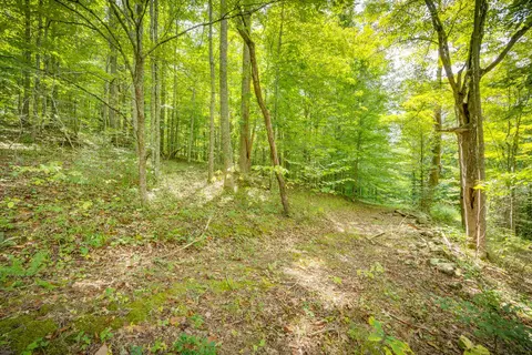 5384 Clinch Mountain Road Eidson Tn 37731, Eidson, TN 37731 photo 43
