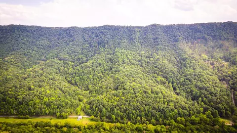 5384 Clinch Mountain Road Eidson Tn 37731, Eidson, TN 37731 photo 58
