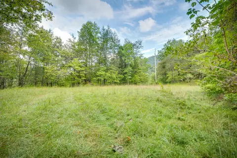 5384 Clinch Mountain Road Eidson Tn 37731, Eidson, TN 37731 photo 45