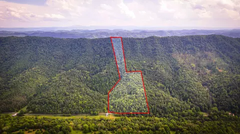 5384 Clinch Mountain Road Eidson Tn 37731, Eidson, TN 37731 photo 46